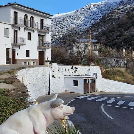 Alojamiento Rural Casa Clara La Pescaora Trevélez Exteriör bild