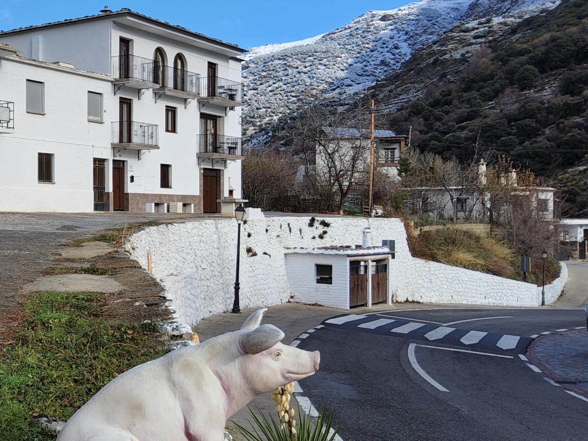 Alojamiento Rural Casa Clara La Pescaora Trevélez Exteriör bild