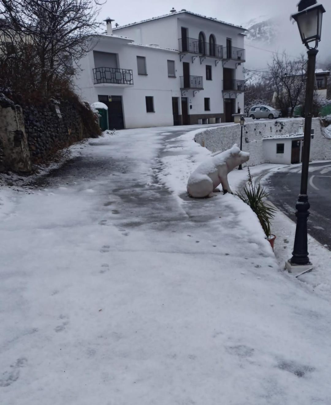 Alojamiento Rural Casa Clara La Pescaora Trevélez Exteriör bild