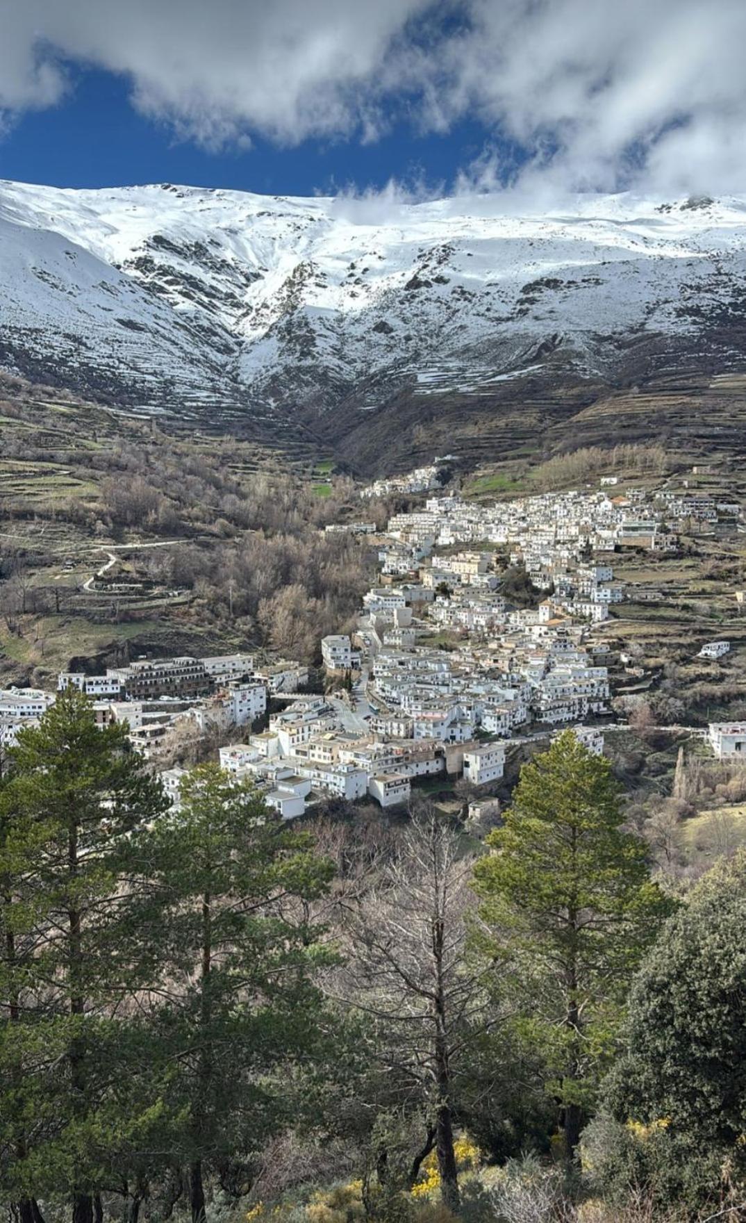 Alojamiento Rural Casa Clara La Pescaora Trevélez Exteriör bild